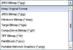 output image format