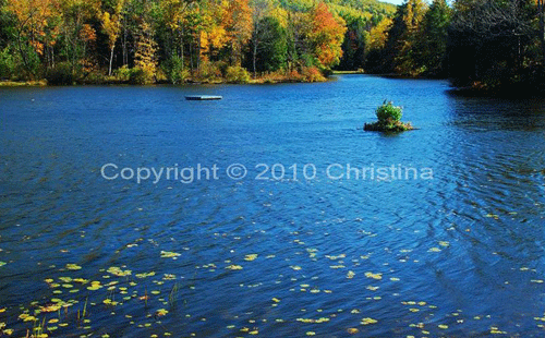 sample of add copyright to photo