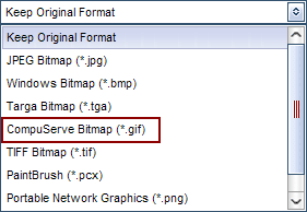 Output GIF formats