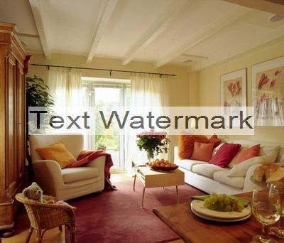 save text watermark