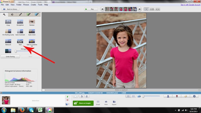 How to watermark photos in Picasa