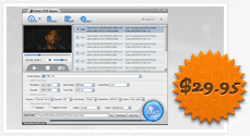 DVD Converter