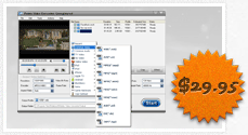 Video watermark tool