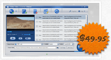 DVD Video Converter