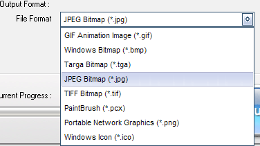 output format