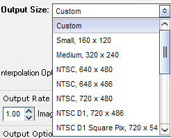 custom output size