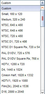 Video to Picture Output Window