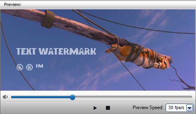 Add Text Watermark to Video