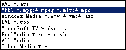 Select MPEG Format