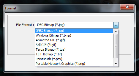 Output image format